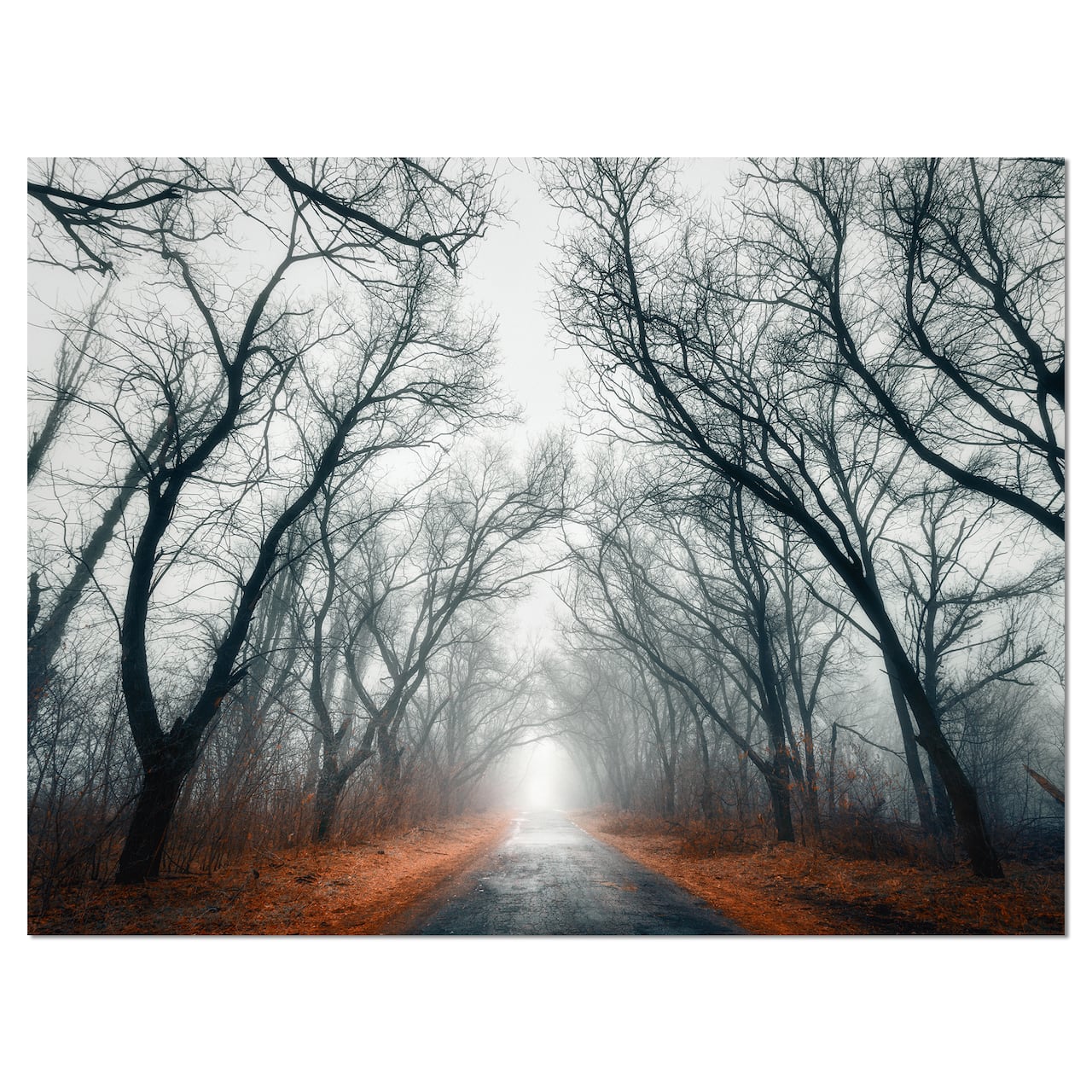 Designart - Mystic Road in Forest - Landscape Photography Canvas Print